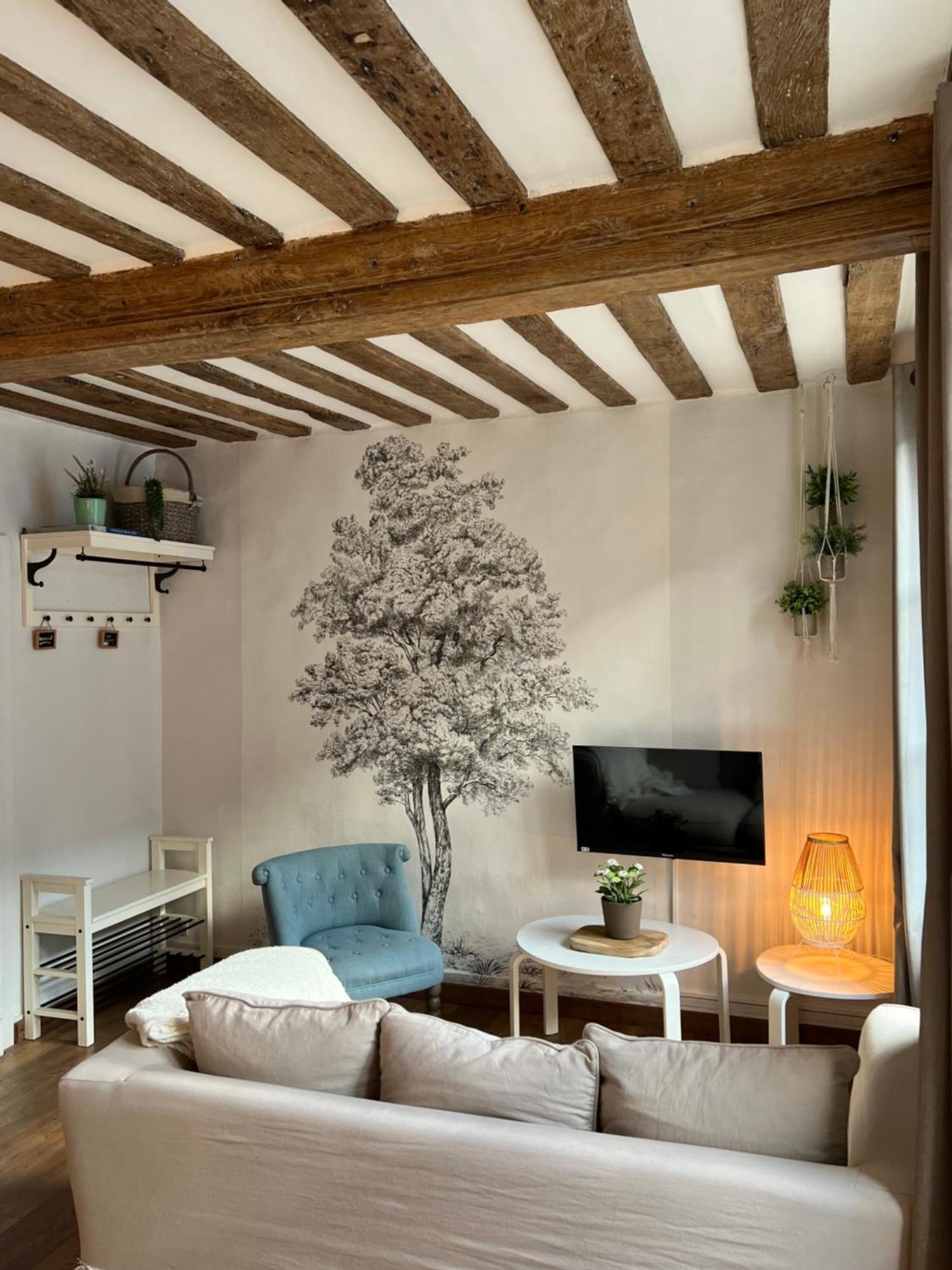 Pause Chez Julien, Lumineux Et Idealement Situe! Apartment